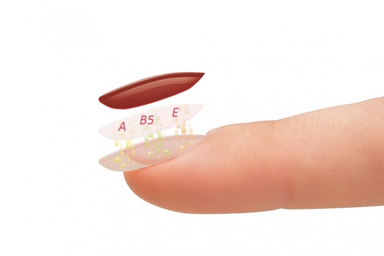 gelish-vitagel-diagram-red-layers-divanails.jpg