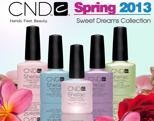 Tara shellac